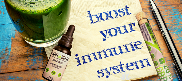 5 Best Ways CBD Can Boost Immunity During A Global Virus