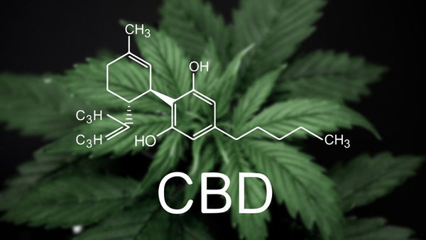 What Is CBD?